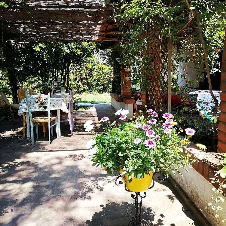 La Bricola Hotel Cavallino-Treporti Exterior foto